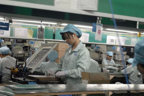 服裝廠等手工加工業職業危害大,勞保用品要選對